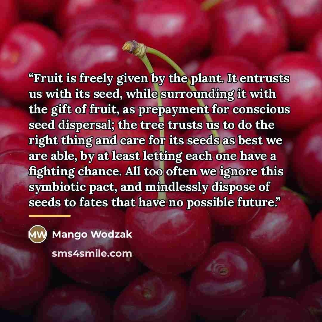“Fruit is freely given by the plant. It entrusts us with its seed, while surrounding it with the gift of fruit, as prepayment for conscious seed dispersal; the tree trusts us to do the right thing and care for its seeds as best we are able, by at least letting each one have a fighting chance. All…” quote by Mango Wodzak