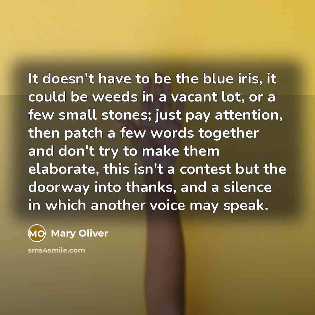 “It doesn't have to be the blue iris, it could be weeds in a vacant lot, or a few small stones; just pay attention, then patch a few words together and don't try to make them elaborate, this isn't a contest but the doorway into thanks, and a silence in which another voice may speak.” quote by Mary Oliver
