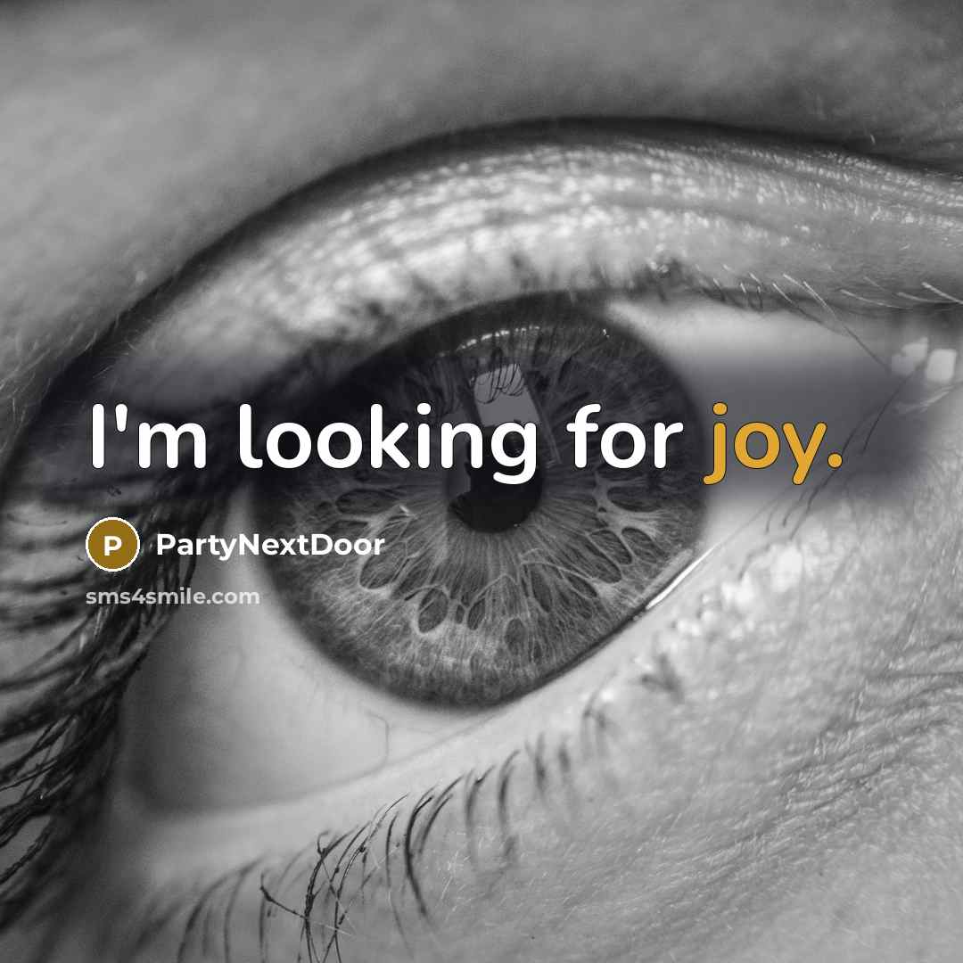 “I'm looking for joy.” quote by PartyNextDoor