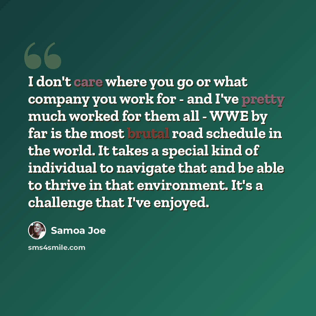 “I don't care where you go or what company you work for - and I've pretty much worked for them all - WWE by far is the most brutal road schedule in the world. It takes a special kind of individual to navigate that and be able to thrive in that environment. It's a challenge that I've enjoyed.” quote by Samoa Joe