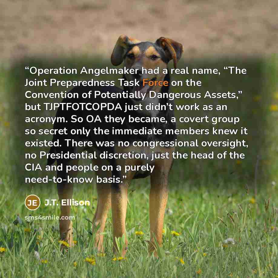 “Operation Angelmaker had a real name, “The Joint Preparedness Task Force on the Convention of Potentially Dangerous Assets,” but TJPTFOTCOPDA just didn’t work as an acronym. So OA they became, a covert group so secret only the immediate members knew it existed. There was no congressional…” quote by J.T. Ellison