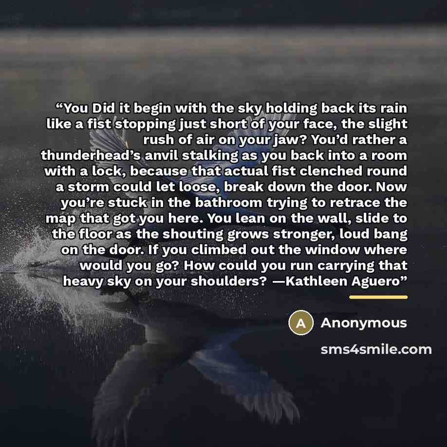 “You Did it begin with the sky holding back its rain like a fist stopping just short of your face, the slight rush of air on your jaw? You’d rather a thunderhead’s anvil stalking as you back into a room with a lock, because that actual fist clenched round a storm could let loose, break down the…” quote by Anonymous