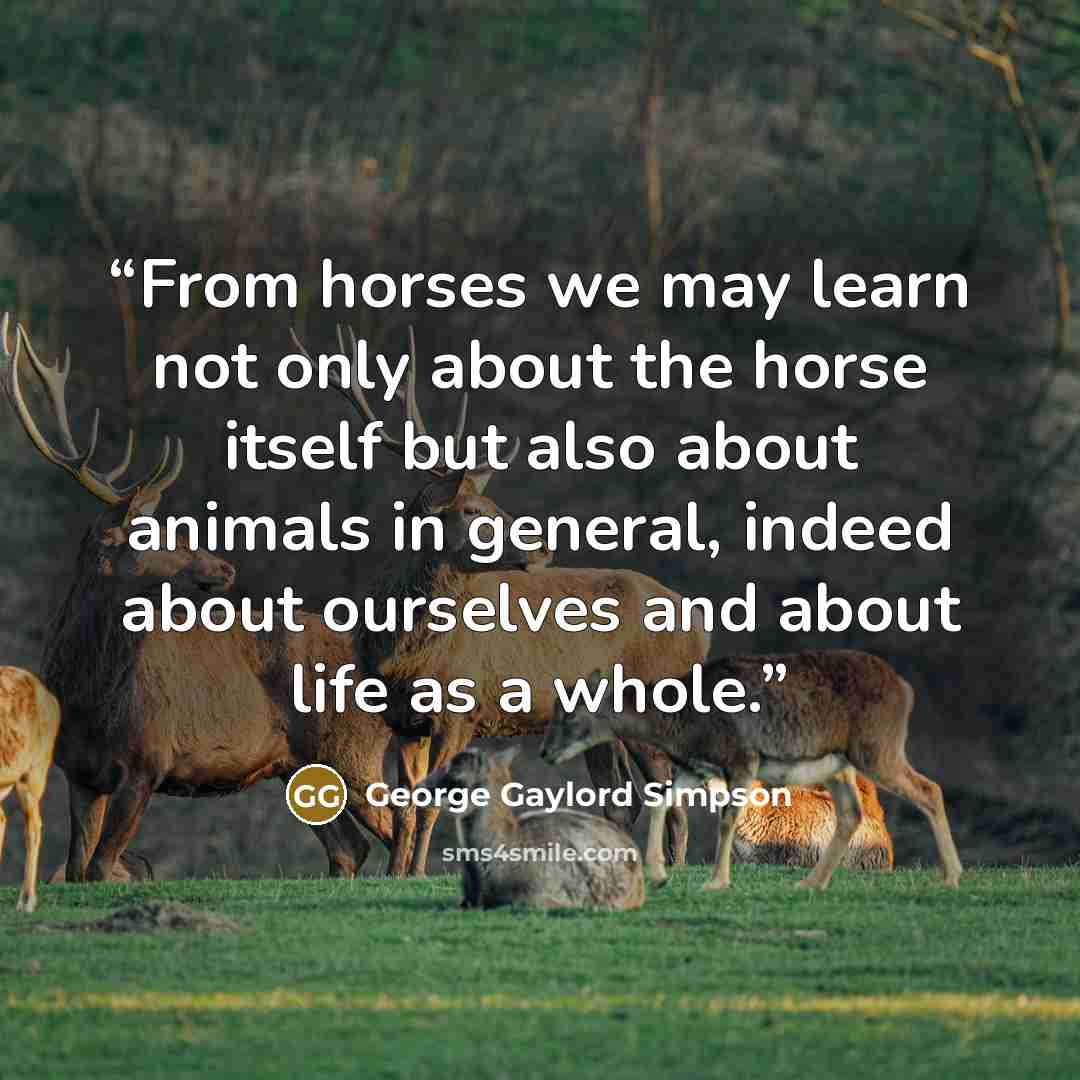 “From horses we may learn not only about the horse itself but also about animals in general, indeed about ourselves and about life as a whole.” quote by George Gaylord Simpson