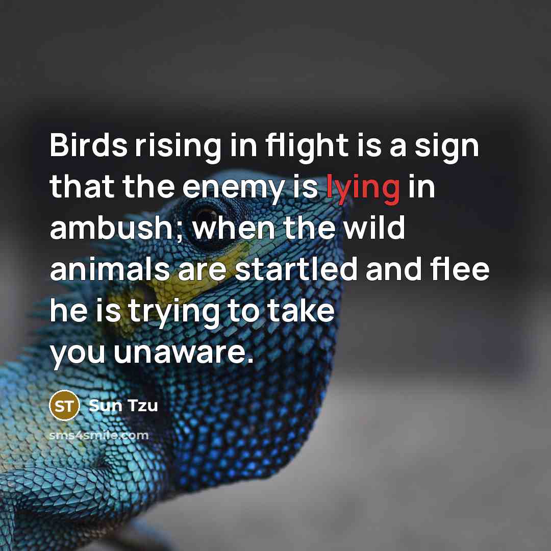 “Birds rising in flight is a sign that the enemy is lying in ambush; when the wild animals are startled and flee he is trying to take you unaware.” quote by Sun Tzu