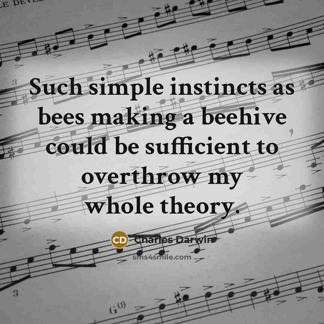 “Such simple instincts as bees making a beehive could be sufficient to overthrow my whole theory.” quote by Charles Darwin
