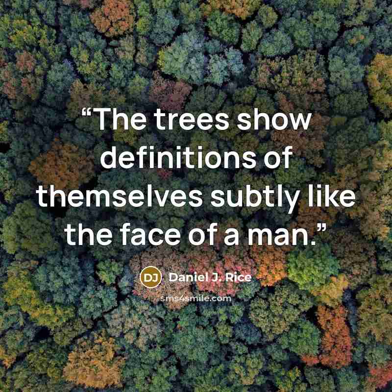 “The trees show definitions of themselves subtly like the face of a man.” quote by Daniel J. Rice