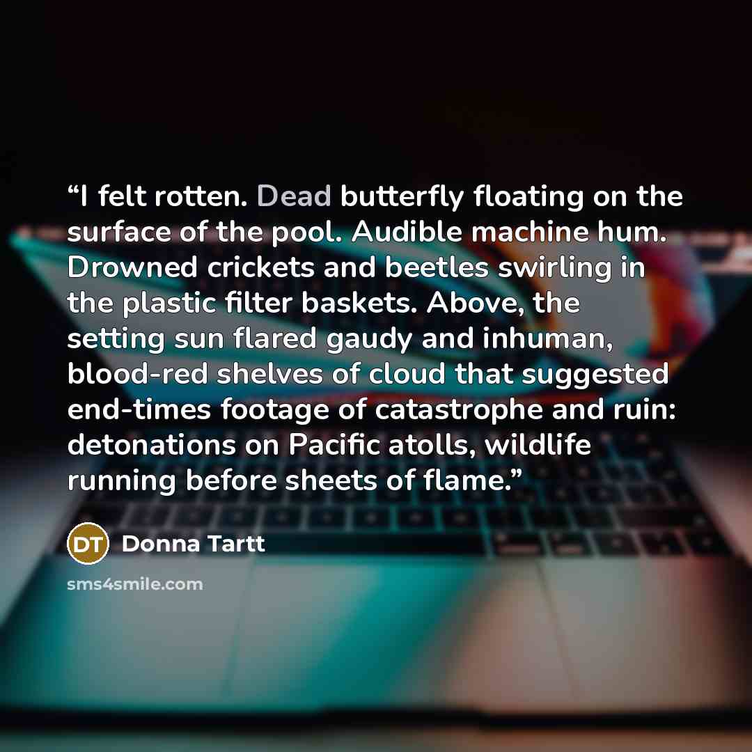 “I felt rotten. Dead butterfly floating on the surface of the pool. Audible machine hum. Drowned crickets and beetles swirling in the plastic filter baskets. Above, the setting sun flared gaudy and inhuman, blood-red shelves of cloud that suggested end-times footage of catastrophe and ruin…” quote by Donna Tartt