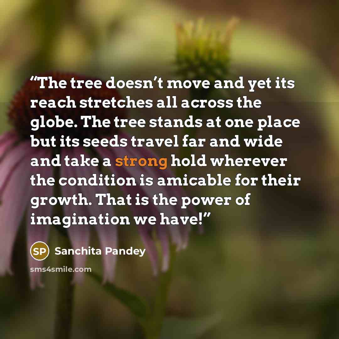 “The tree doesn’t move and yet its reach stretches all across the globe. The tree stands at one place but its seeds travel far and wide and take a strong hold wherever the condition is amicable for their growth. That is the power of imagination we have!” quote by Sanchita Pandey
