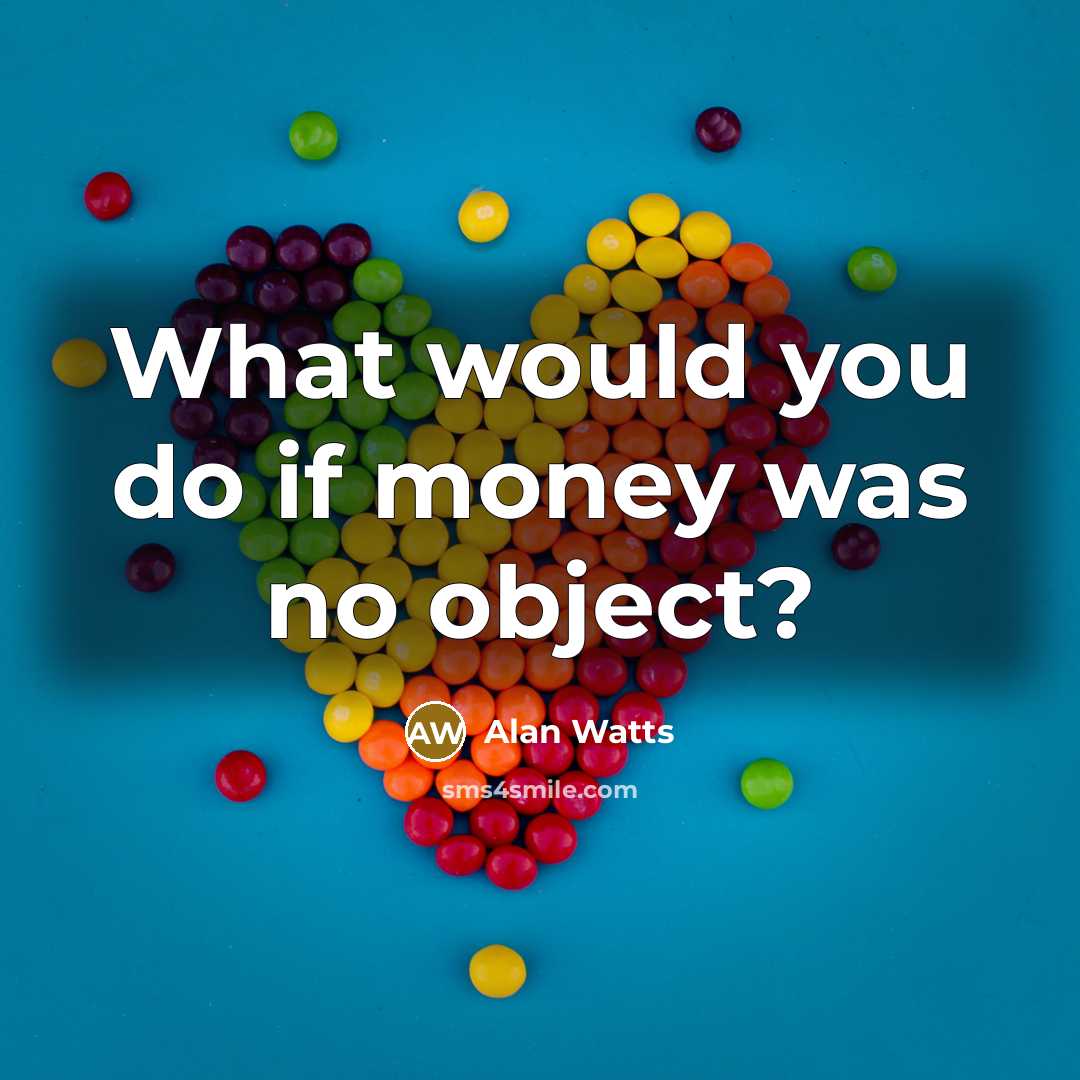 “What would you do if money was no object?” quote by Alan Watts