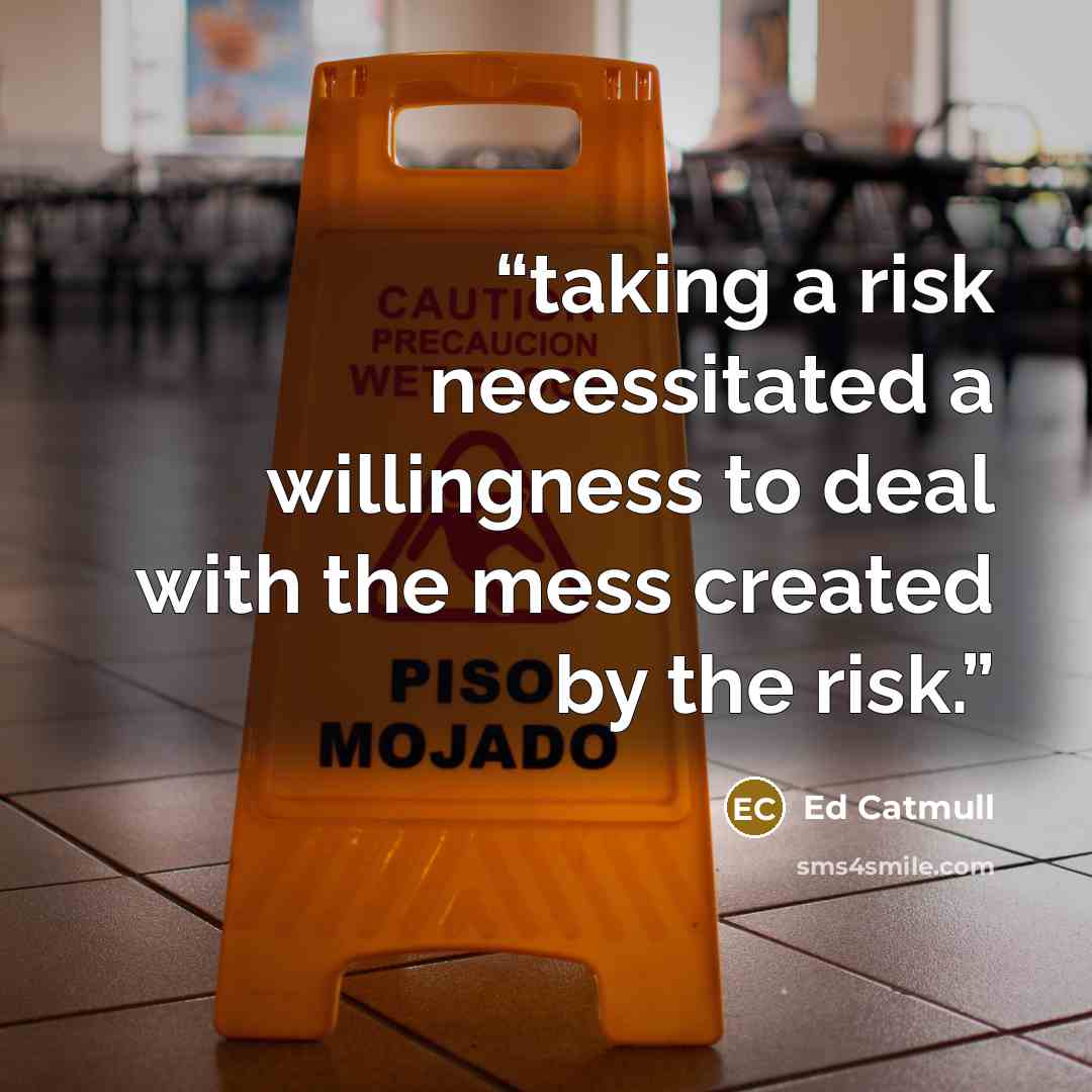 “taking a risk necessitated a willingness to deal with the mess created by the risk.” quote by Ed Catmull