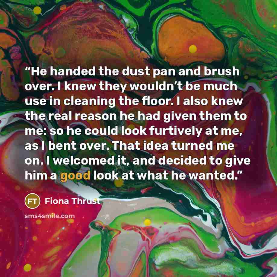 “He handed the dust pan and brush over. I knew they wouldn’t be much use in cleaning the floor. I also knew the real reason he had given them to me: so he could look furtively at me, as I bent over. That idea turned me on. I welcomed it, and decided to give him a good look at what he wanted.” quote by Fiona Thrust