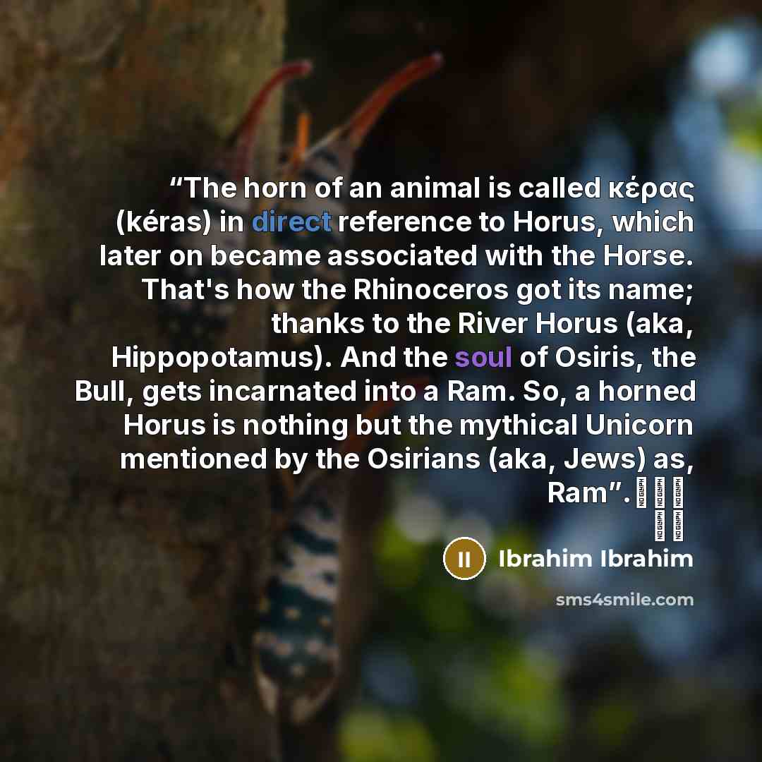 “The horn of an animal is called κέρας (kéras) in direct reference to Horus, which later on became associated with the Horse. That's how the Rhinoceros got its name; thanks to the River Horus (aka, Hippopotamus). And the soul of Osiris, the Bull, gets incarnated into a Ram. So, a horned Horus is…” quote by Ibrahim Ibrahim