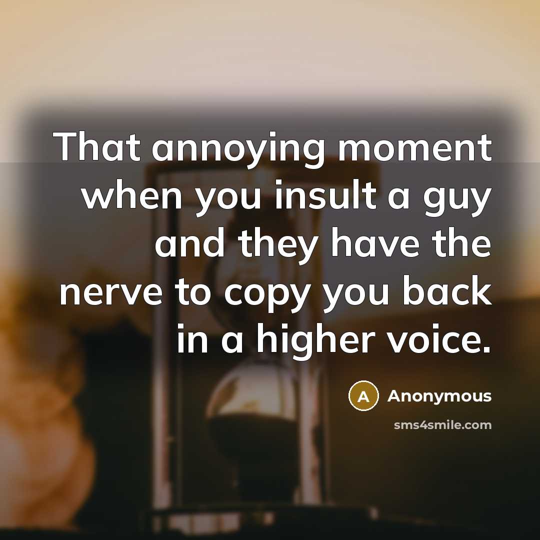 “That annoying moment when you insult a guy and they have the nerve to copy you back in a higher voice.” quote by Anonymous