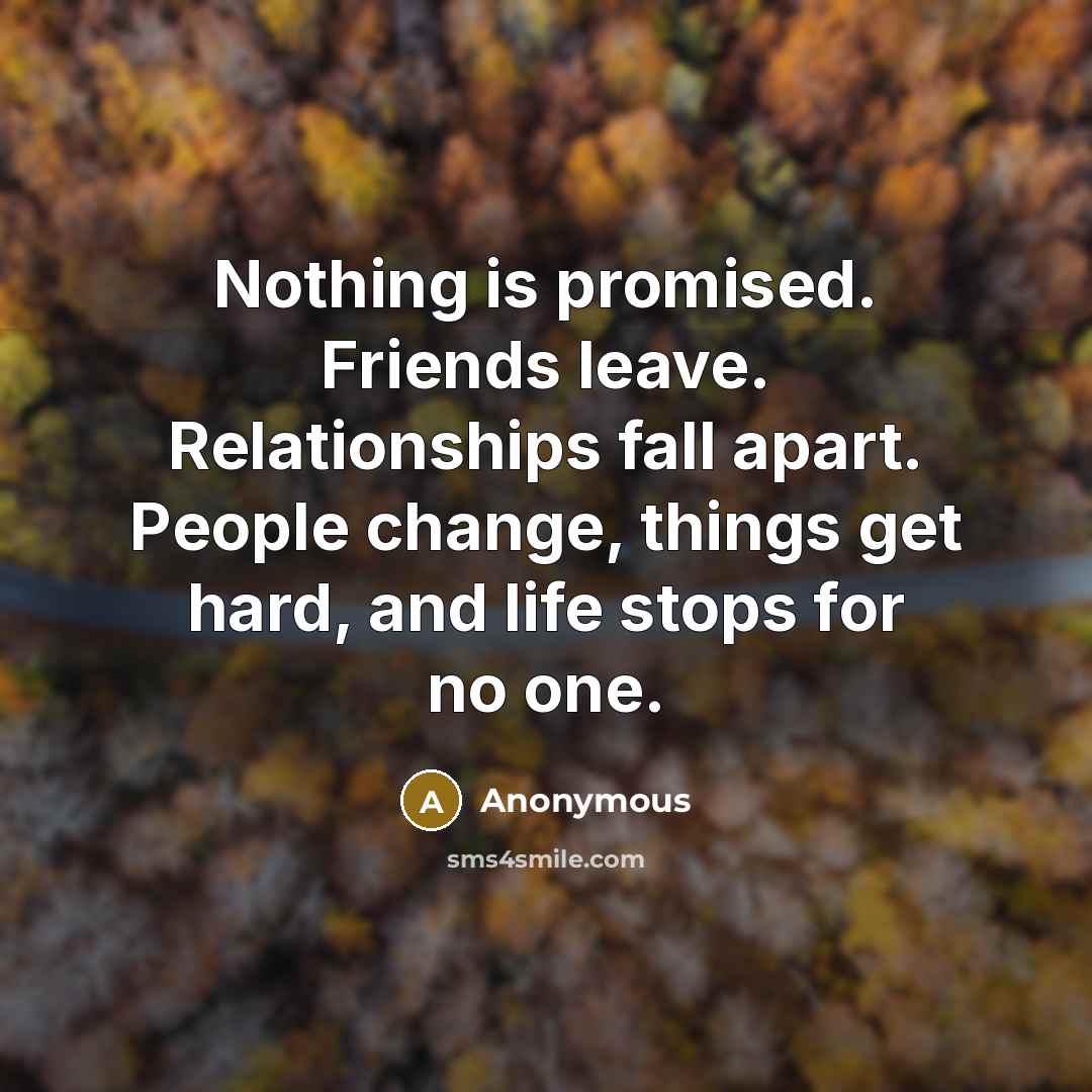 “Nothing is promised. Friends leave. Relationships fall apart. People change, things get hard, and life stops for no one.” quote by Anonymous
