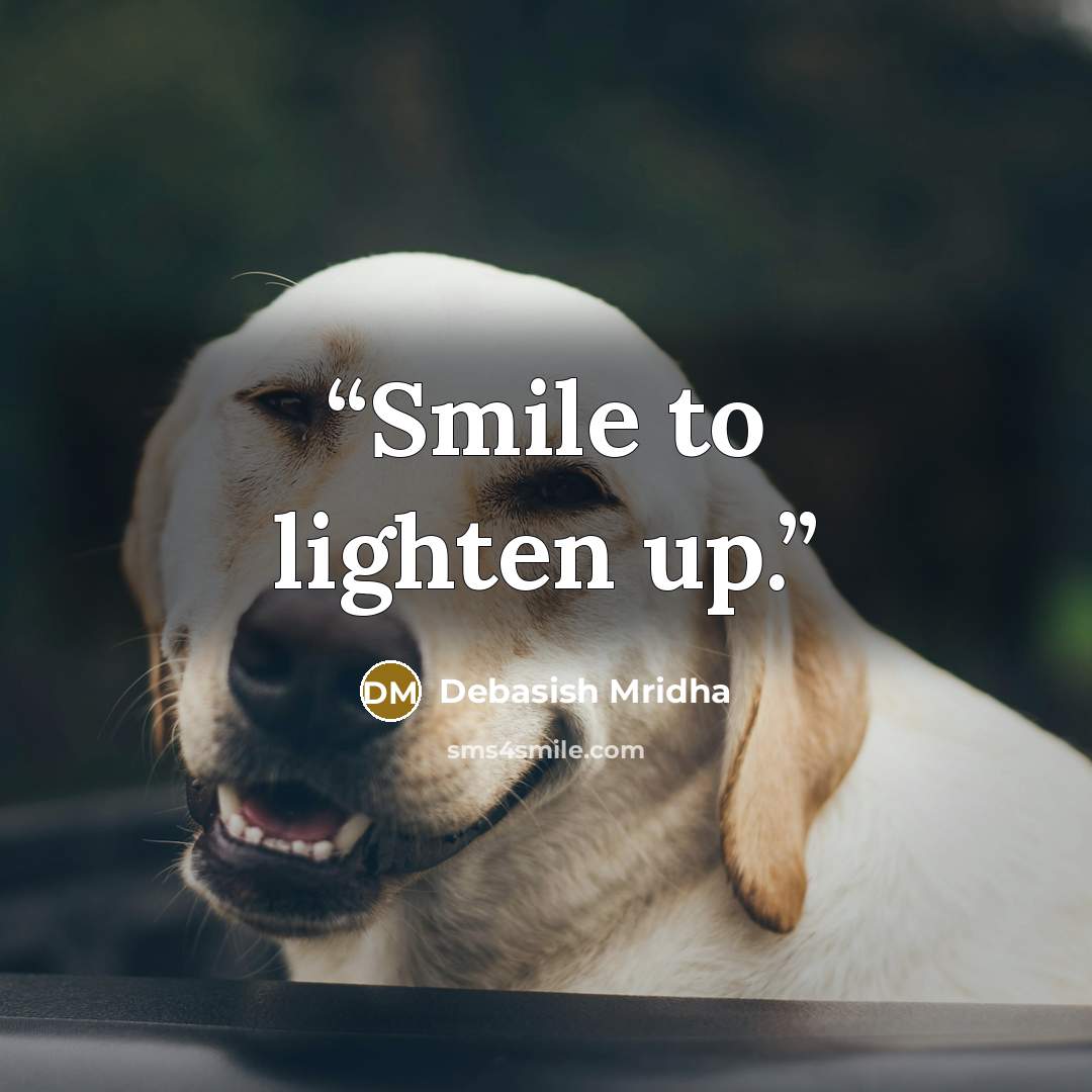 “Smile to lighten up.” quote by Debasish Mridha
