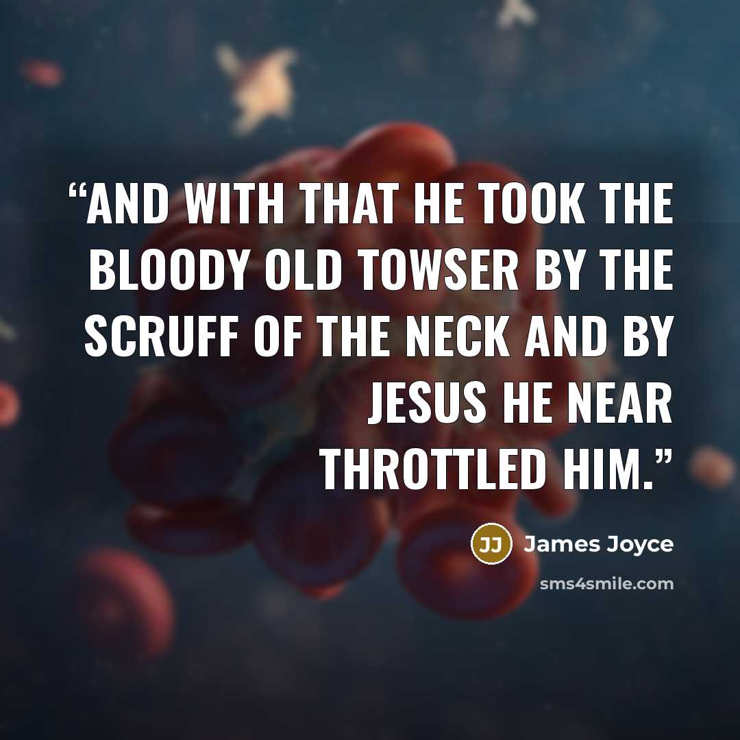 “and with that he took the bloody old towser by the scruff of the neck and by Jesus he near throttled him.” quote by James Joyce