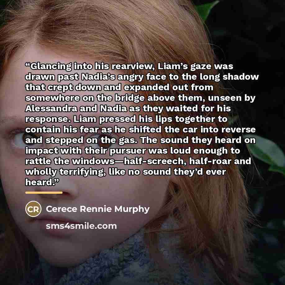 “Glancing into his rearview, Liam’s gaze was drawn past Nadia’s angry face to the long shadow that crept down and expanded out from somewhere on the bridge above them, unseen by Alessandra and Nadia as they waited for his response. Liam pressed his lips together to contain his fear as he shifted…” quote by Cerece Rennie Murphy