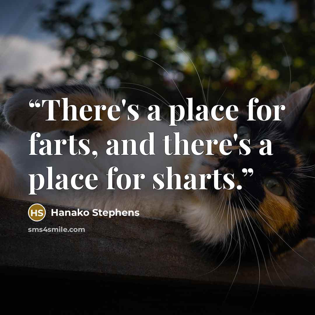 “There's a place for farts, and there's a place for sharts.” quote by Hanako Stephens