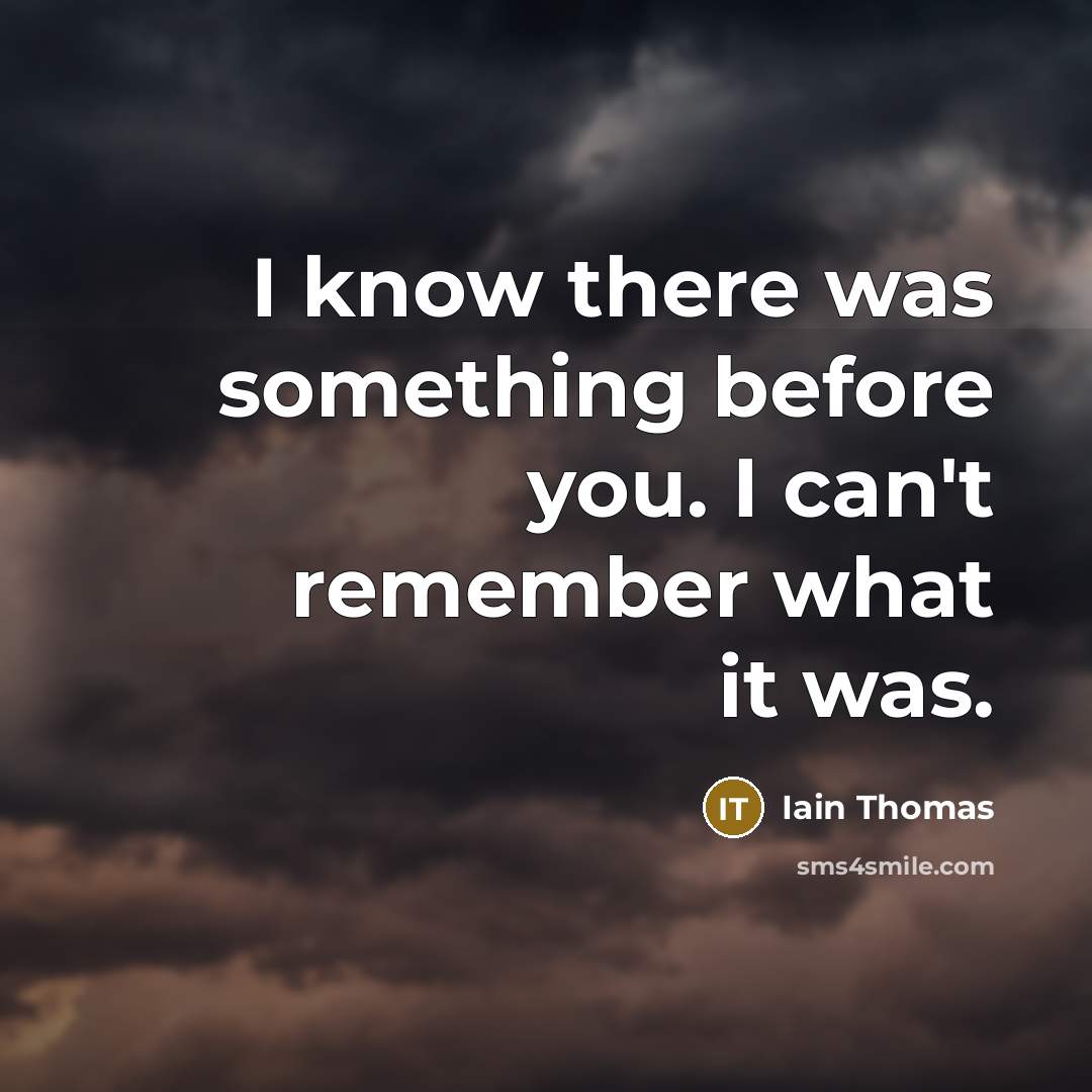“I know there was something before you. I can't remember what it was.” quote by Iain Thomas
