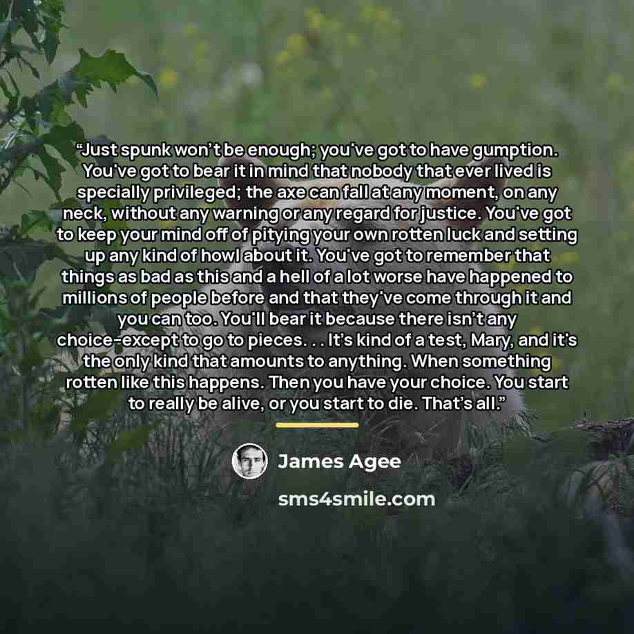 “Just spunk won't be enough; you've got to have gumption. You've got to bear it in mind that nobody that ever lived is specially privileged; the axe can fall at any moment, on any neck, without any warning or any regard for justice. You've got to keep your mind off of pitying your own rotten luck…” quote by James Agee