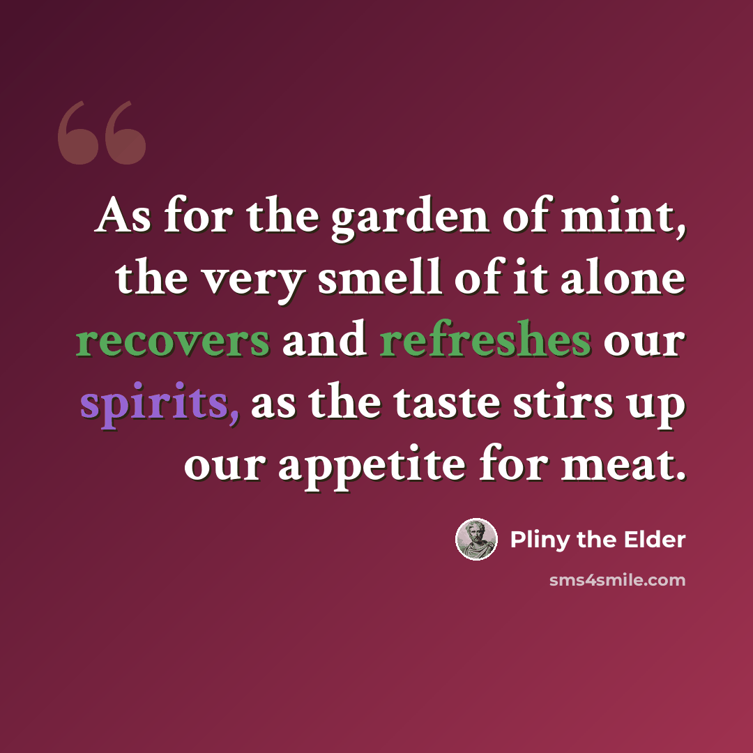 “As for the garden of mint, the very smell of it alone recovers and refreshes our spirits, as the taste stirs up our appetite for meat.” quote by Pliny the Elder