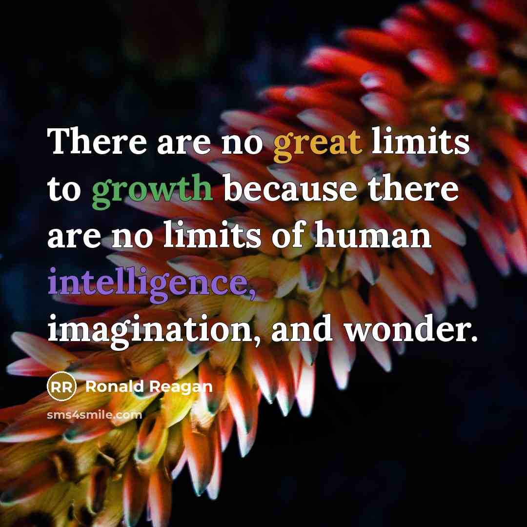 “There are no great limits to growth because there are no limits of human intelligence, imagination, and wonder.” quote by Ronald Reagan