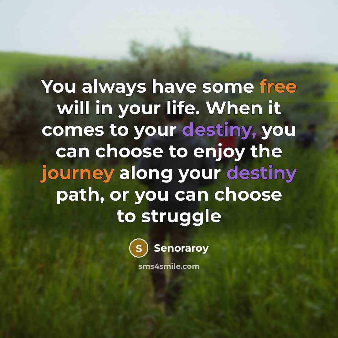“You always have some free will in your life. When it comes to your destiny, you can choose to enjoy the journey along your destiny path, or you can choose to struggle” quote by Senoraroy