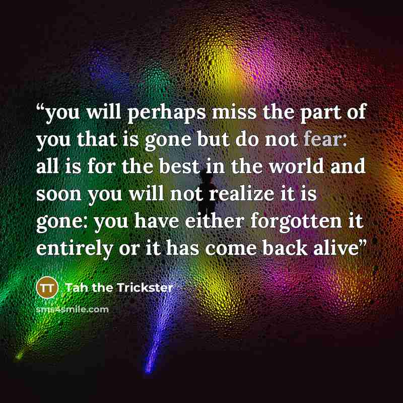 “you will perhaps miss the part of you that is gone but do not fear: all is for the best in the world and soon you will not realize it is gone: you have either forgotten it entirely or it has come back alive” quote by Tah the Trickster