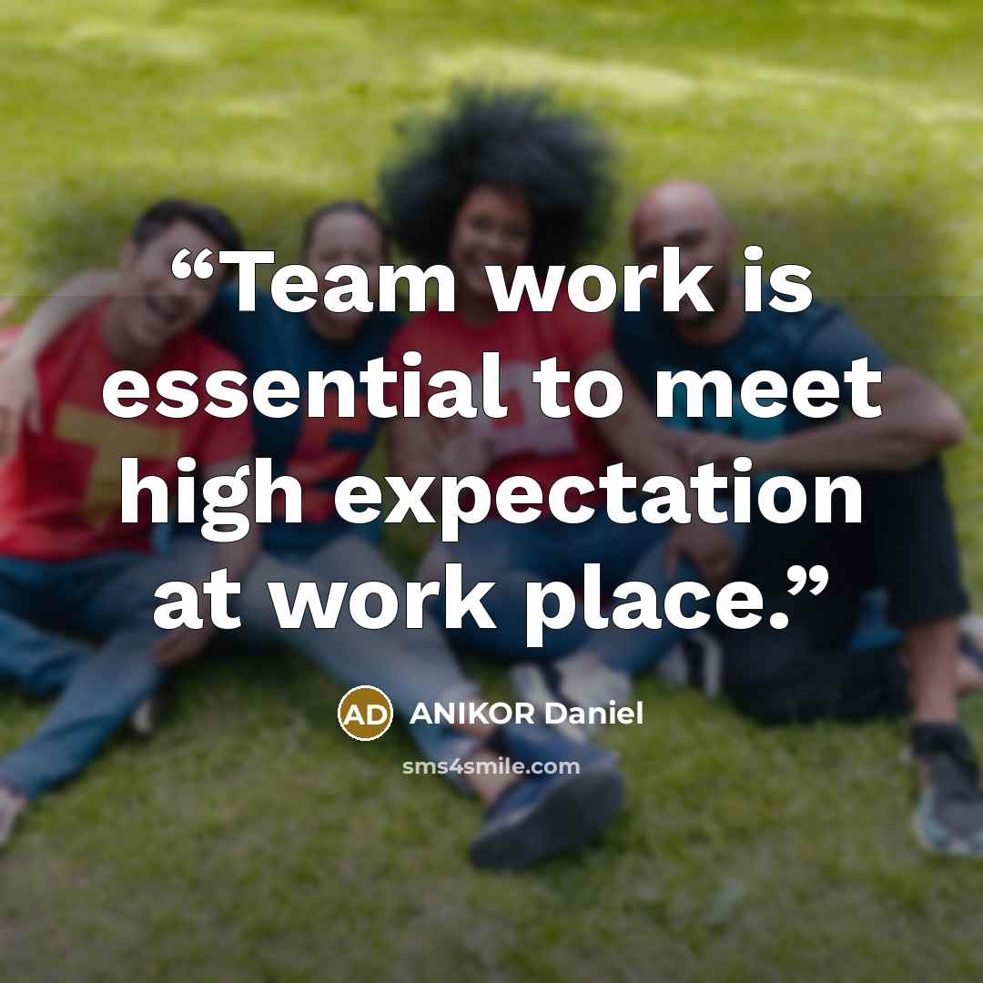 “Team work is essential to meet high expectation at work place.” quote by ANIKOR Daniel