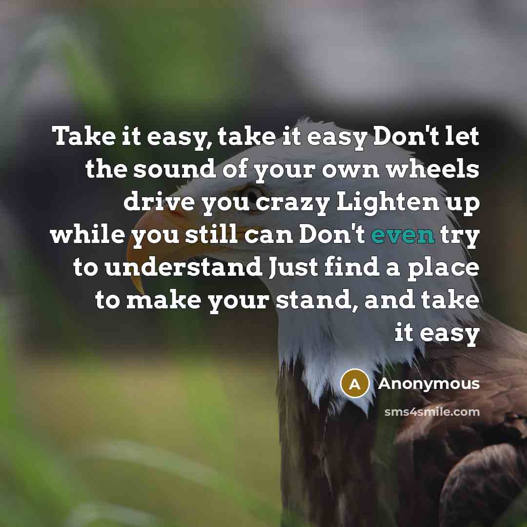 “Take it easy, take it easy Don't let the sound of your own wheels drive you crazy Lighten up while you still can Don't even try to understand Just find a place to make your stand, and take it easy” quote by Anonymous
