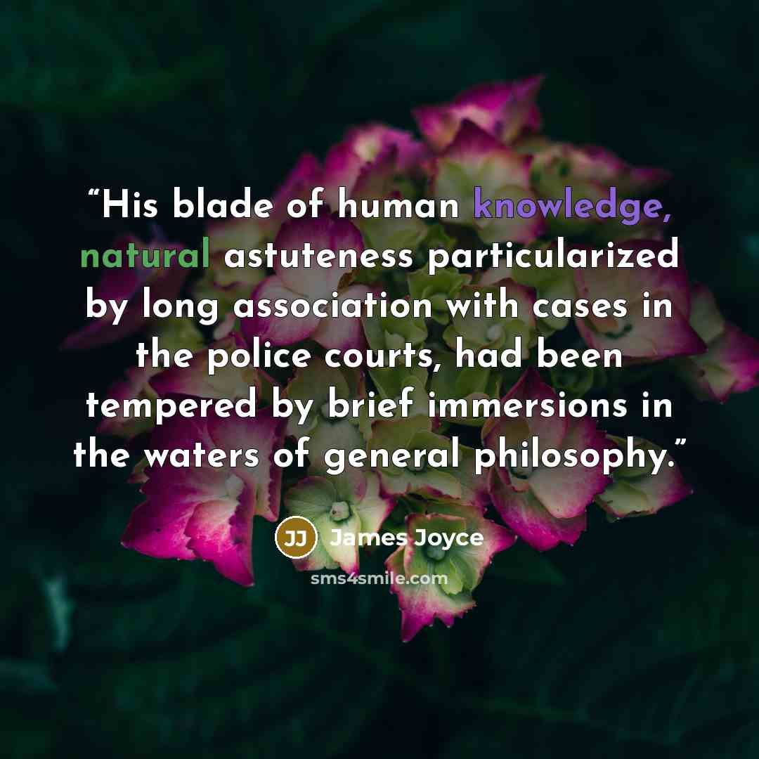 “His blade of human knowledge, natural astuteness particularized by long association with cases in the police courts, had been tempered by brief immersions in the waters of general philosophy.” quote by James Joyce