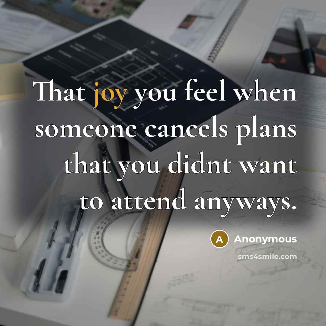 “That joy you feel when someone cancels plans that you didnt want to attend anyways.” quote by Anonymous
