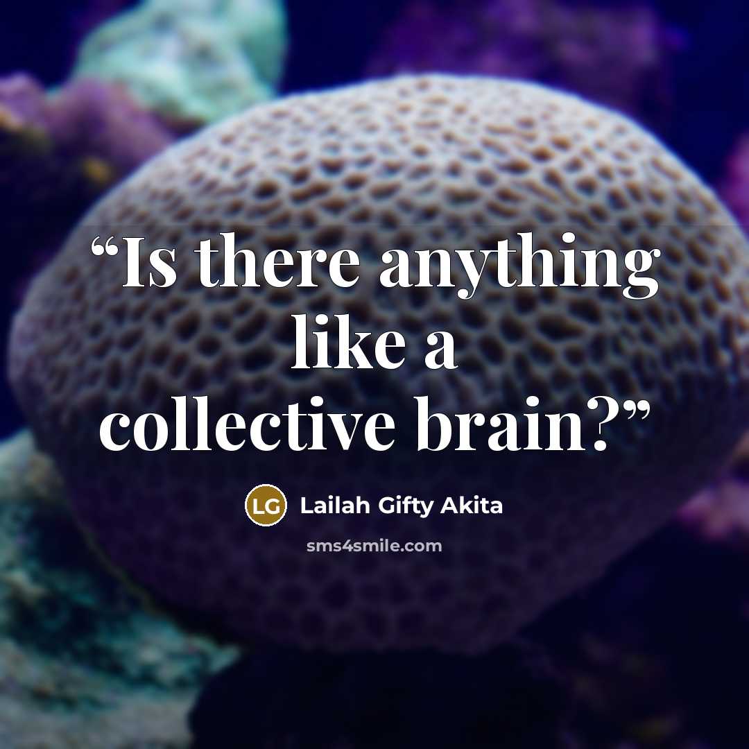 “Is there anything like a collective brain?” quote by Lailah Gifty Akita