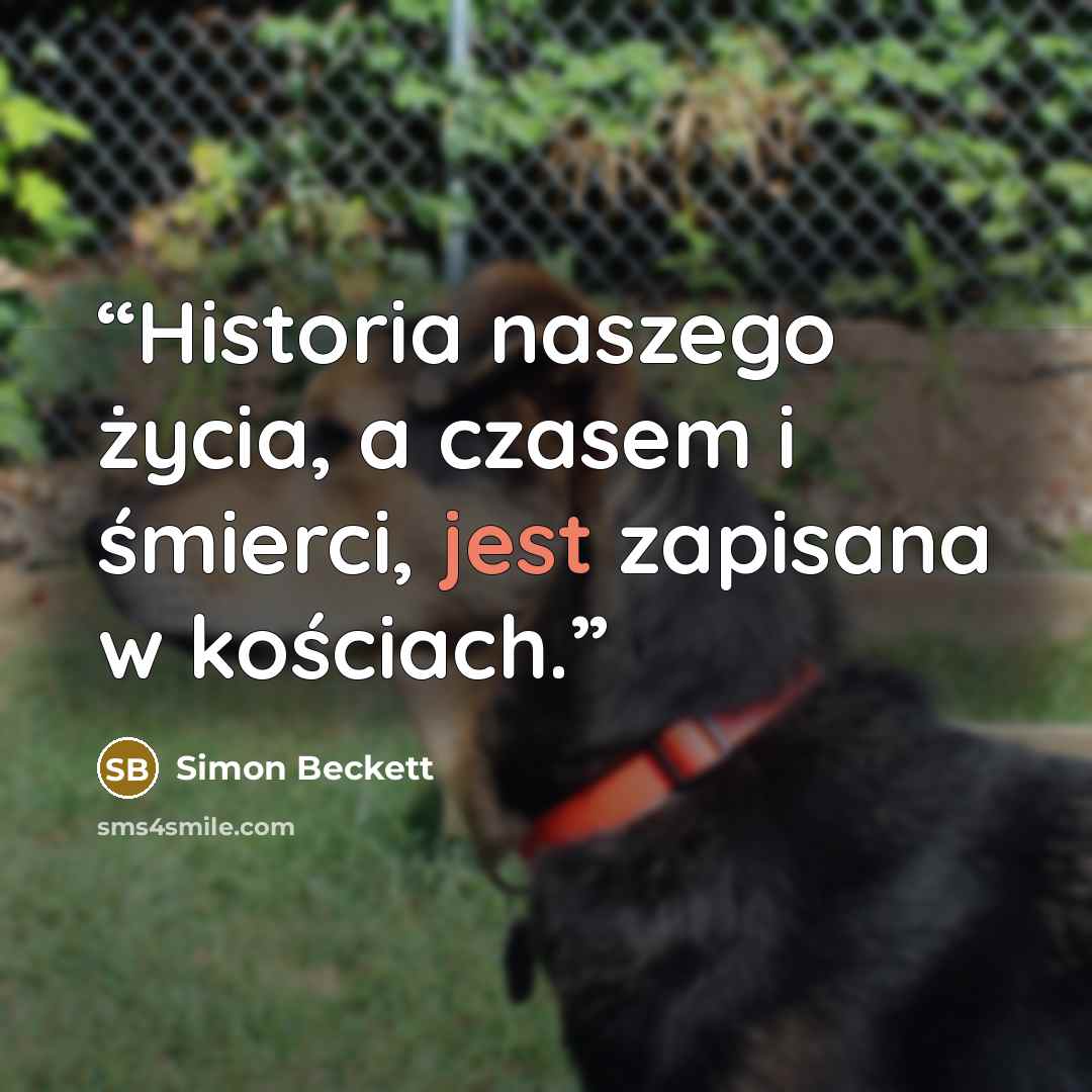 “Historia naszego życia, a czasem i śmierci, jest zapisana w kościach.” quote by Simon Beckett
