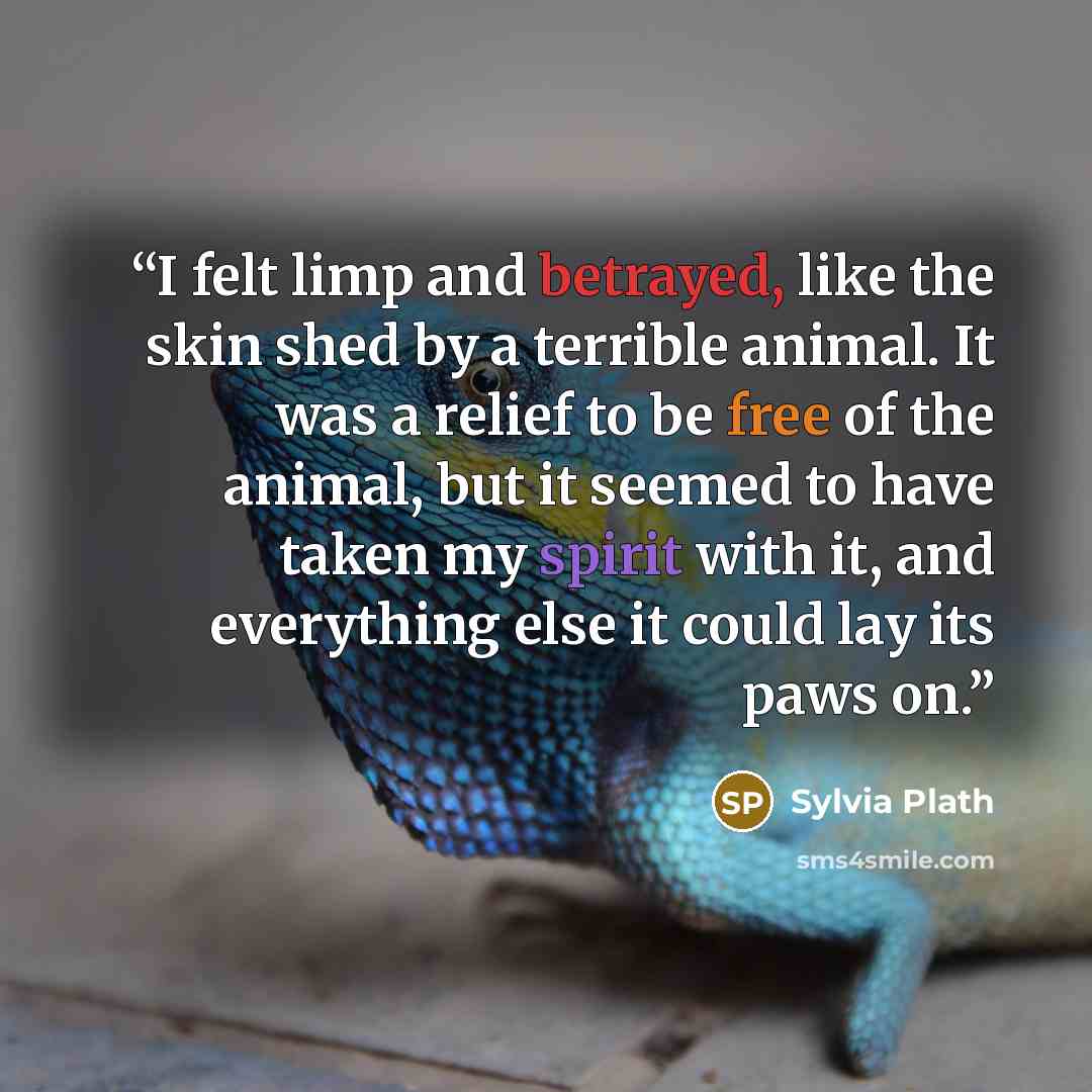 “I felt limp and betrayed, like the skin shed by a terrible animal. It was a relief to be free of the animal, but it seemed to have taken my spirit with it, and everything else it could lay its paws on.” quote by Sylvia Plath
