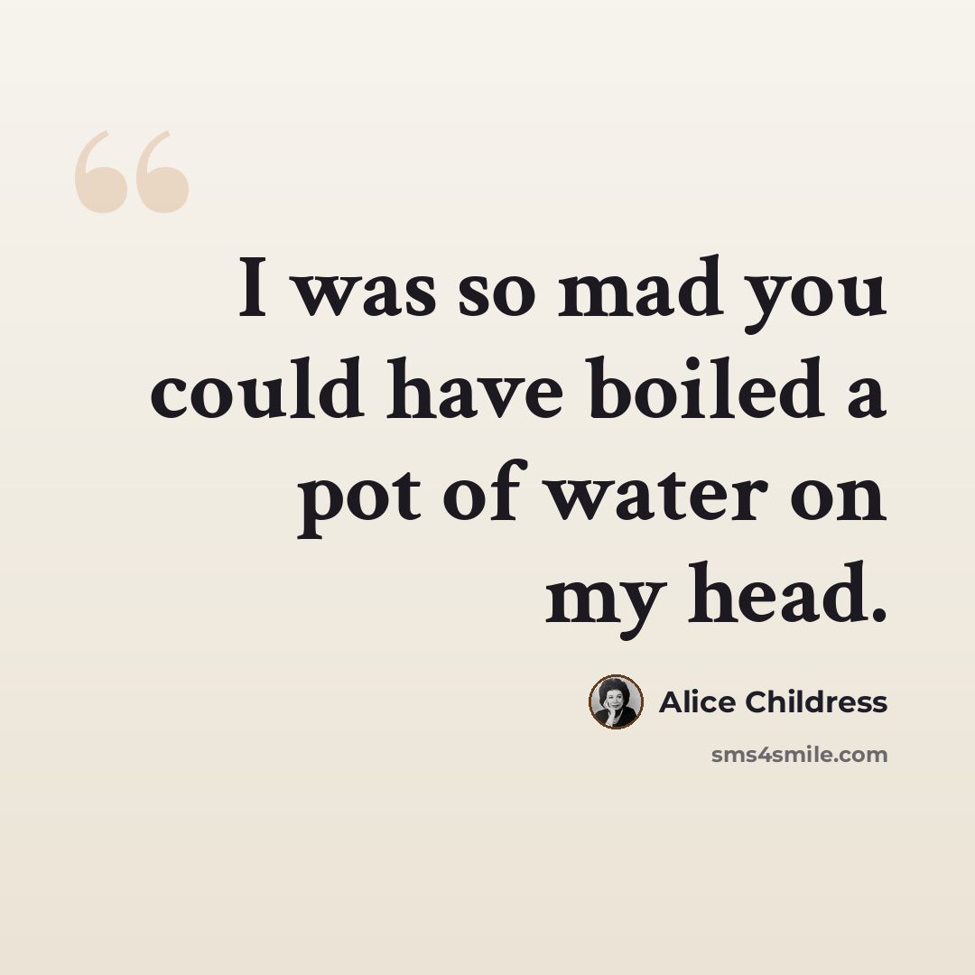 “I was so mad you could have boiled a pot of water on my head.” quote by Alice Childress