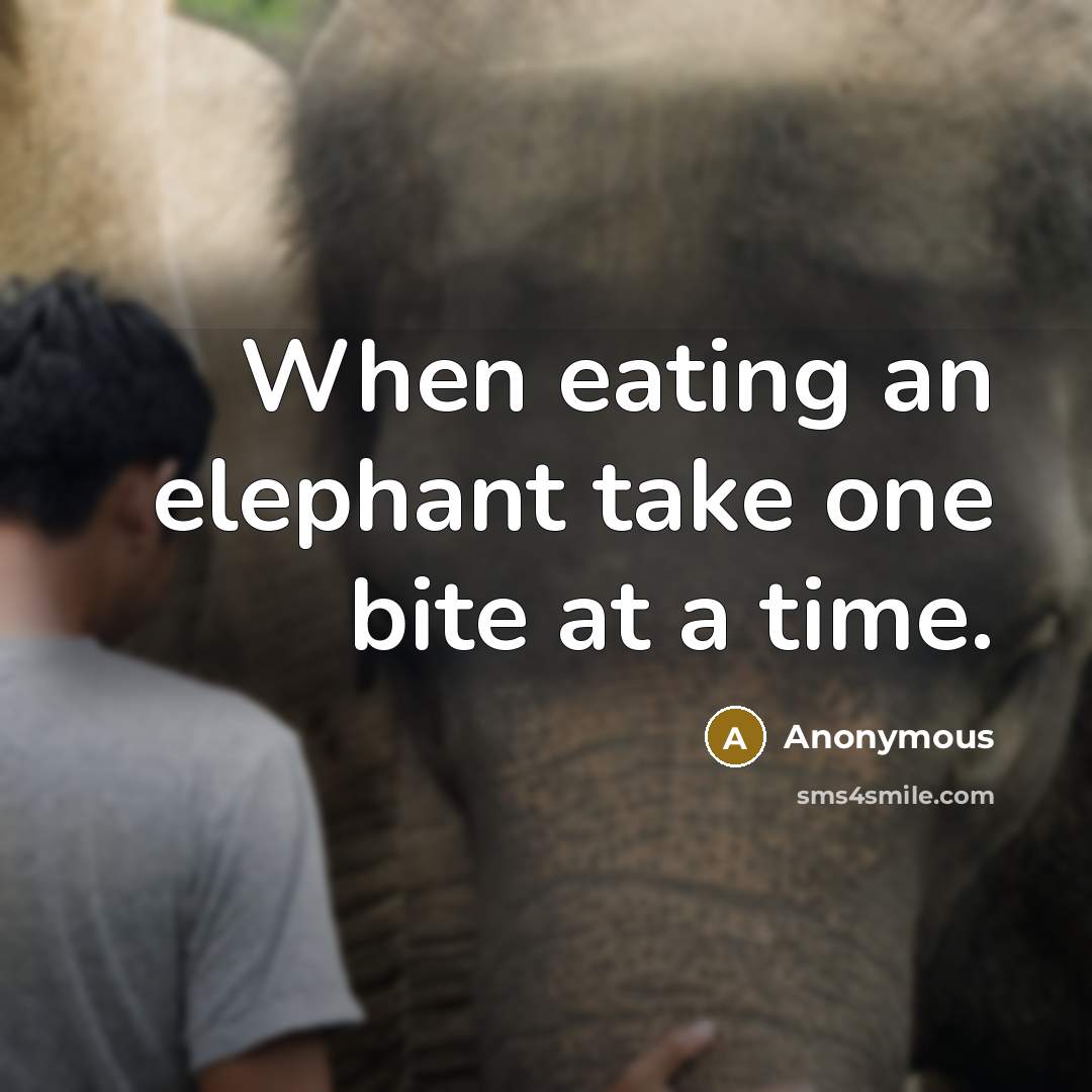 “When eating an elephant take one bite at a time.” quote by Anonymous