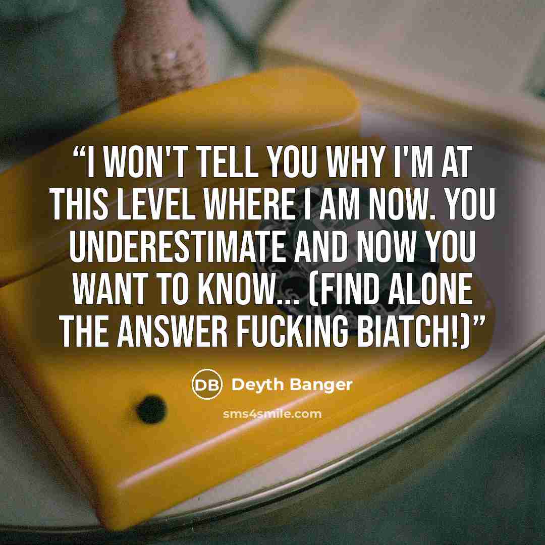 “I won't tell you why I'm at this level where I am now. You underestimate and now you want to know... (FIND ALONE THE ANSWER FUCKING BIATCH!)” quote by Deyth Banger