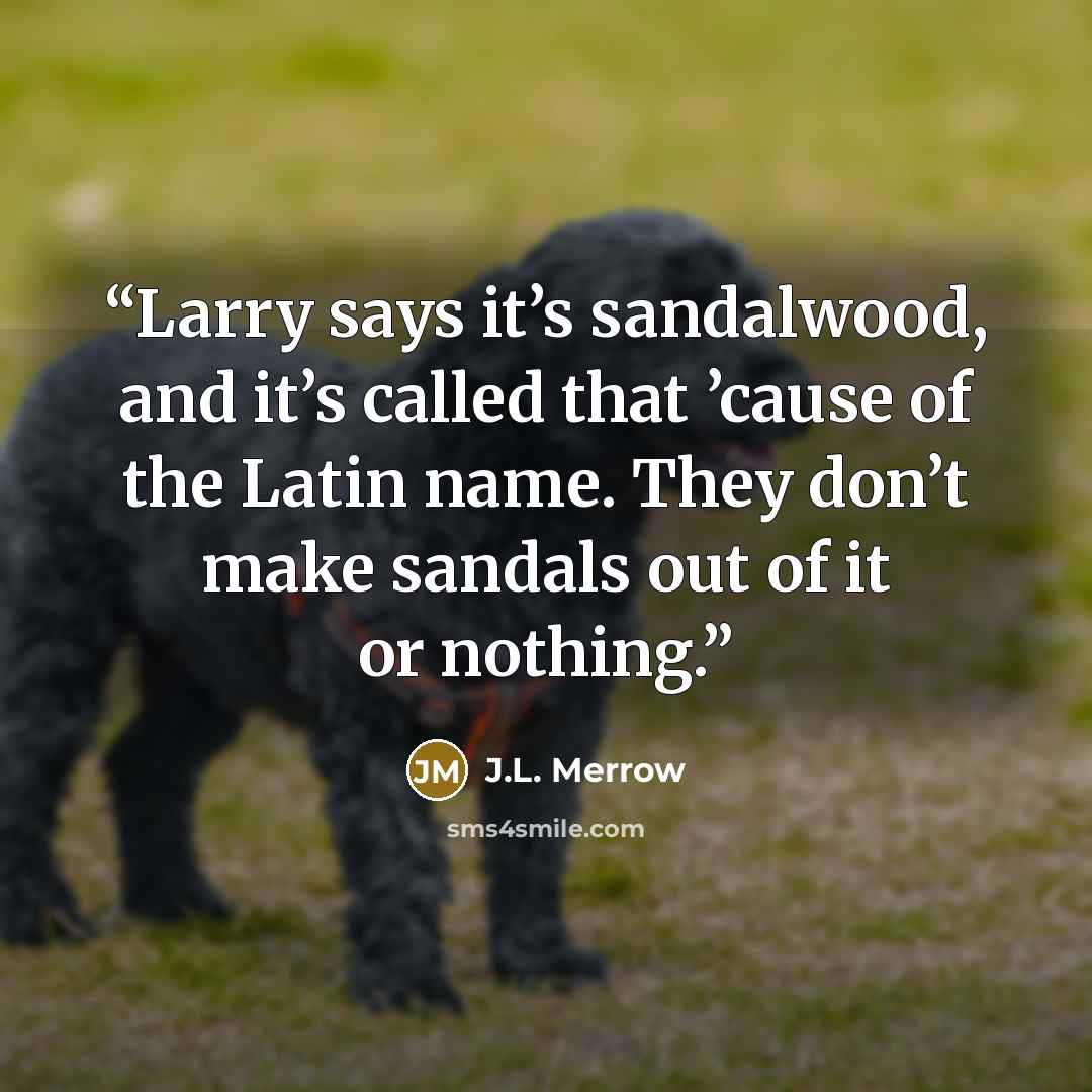 “Larry says it’s sandalwood, and it’s called that ’cause of the Latin name. They don’t make sandals out of it or nothing.” quote by J.L. Merrow