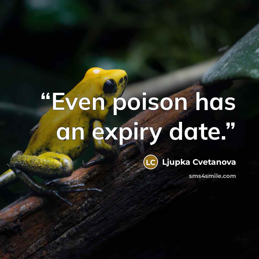 “Even poison has an expiry date.” quote by Ljupka Cvetanova