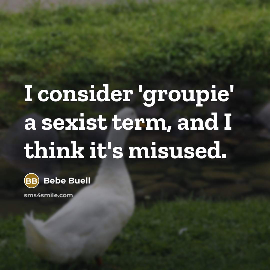 “I consider 'groupie' a sexist term, and I think it's misused.” quote by Bebe Buell