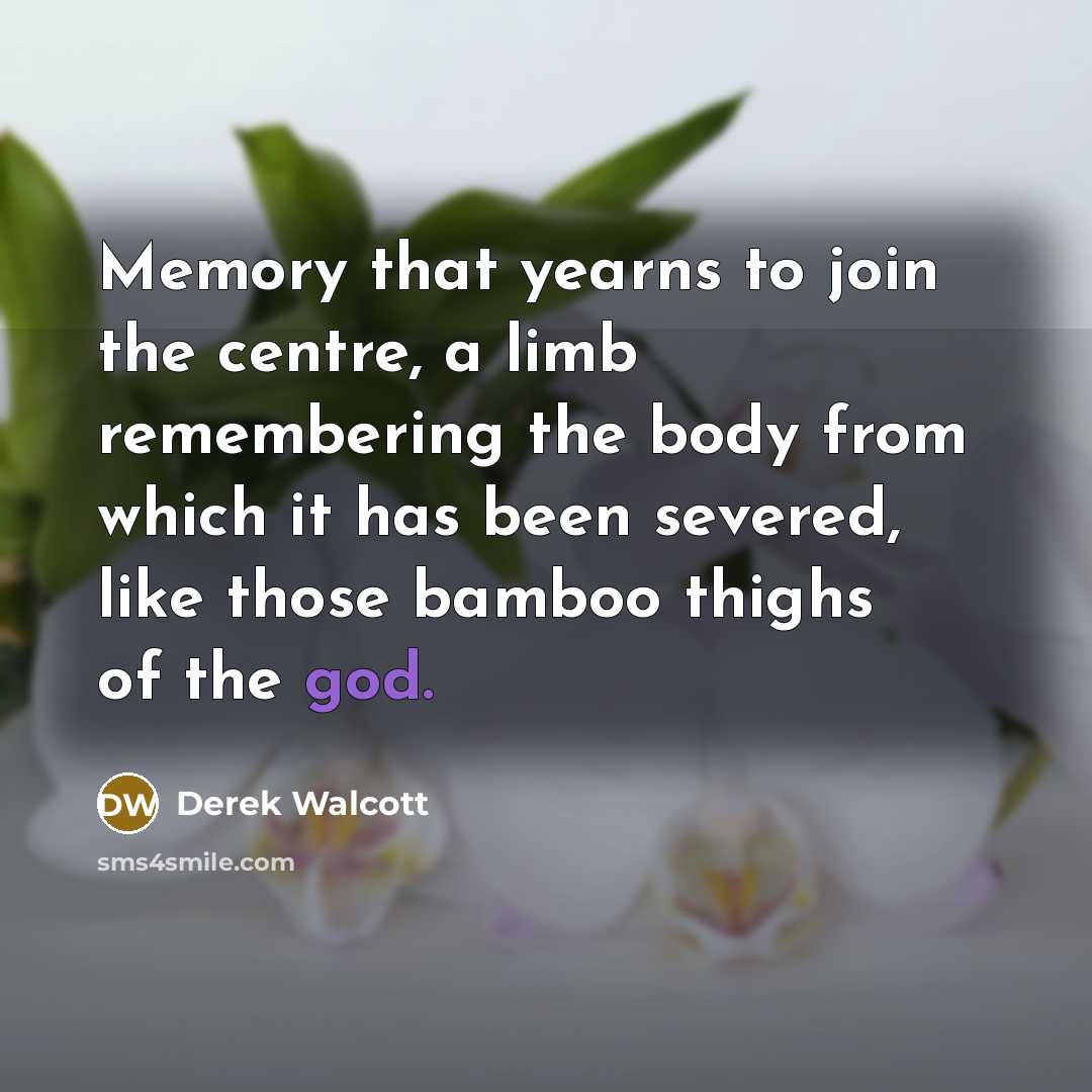“Memory that yearns to join the centre, a limb remembering the body from which it has been severed, like those bamboo thighs of the god.” quote by Derek Walcott