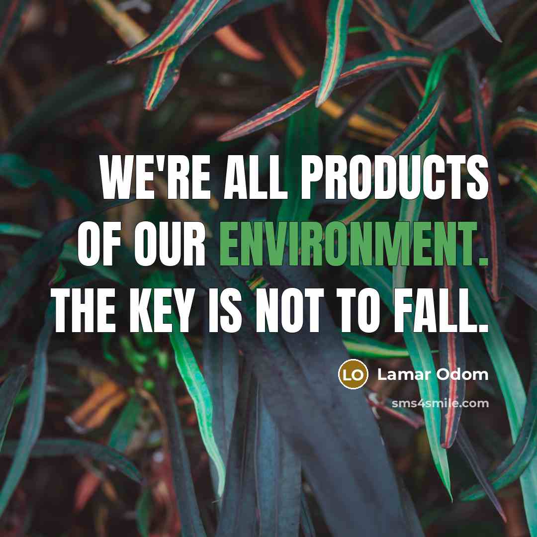 “We're all products of our environment. The key is not to fall.” quote by Lamar Odom