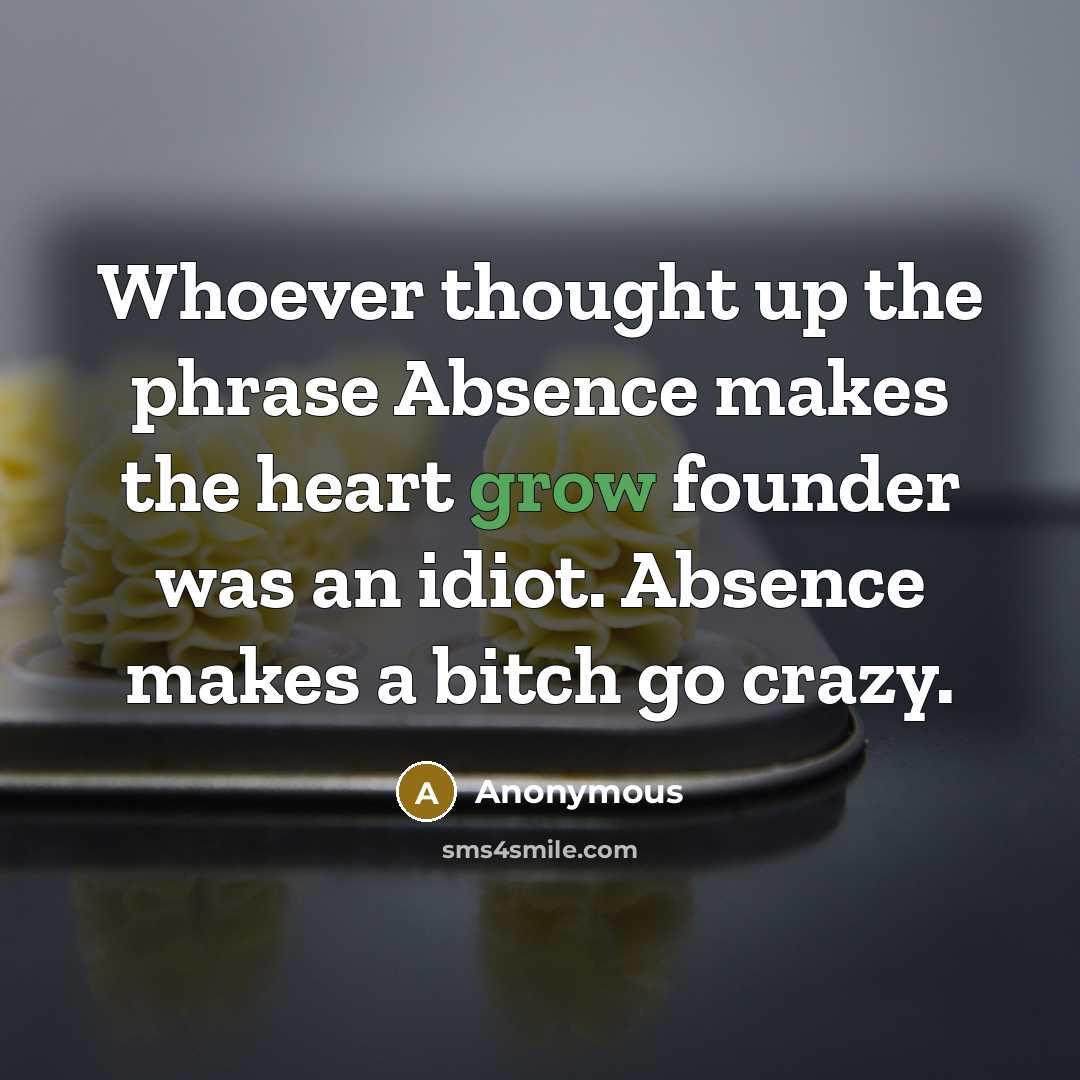 “Whoever thought up the phrase Absence makes the heart grow founder was an idiot. Absence makes a bitch go crazy.” quote by Anonymous