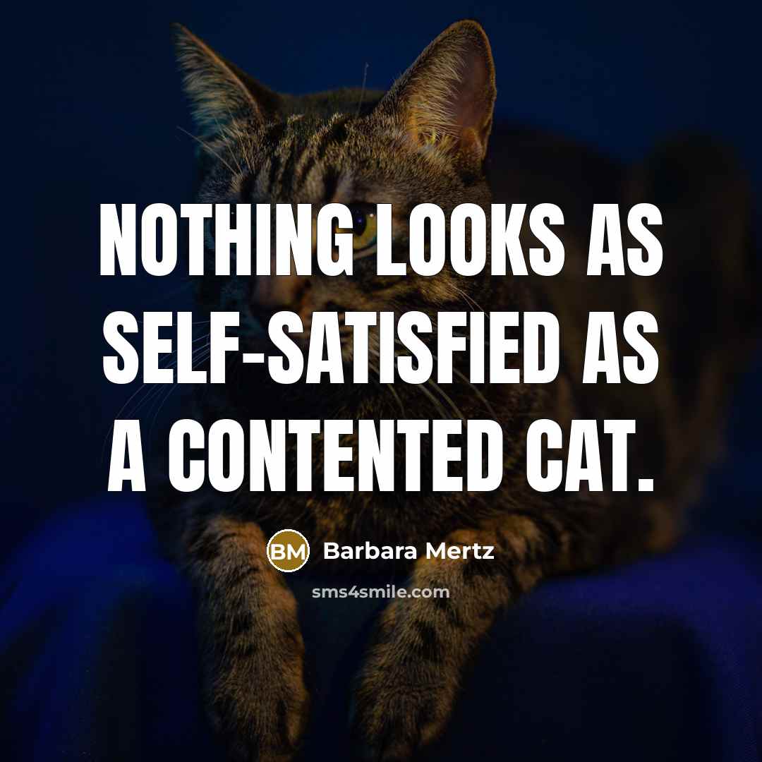 “Nothing looks as self-satisfied as a contented cat.” quote by Barbara Mertz