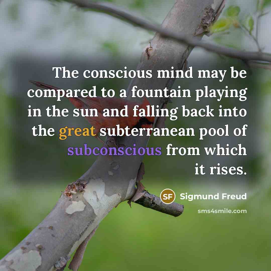 “The conscious mind may be compared to a fountain playing in the sun and falling back into the great subterranean pool of subconscious from which it rises.” quote by Sigmund Freud