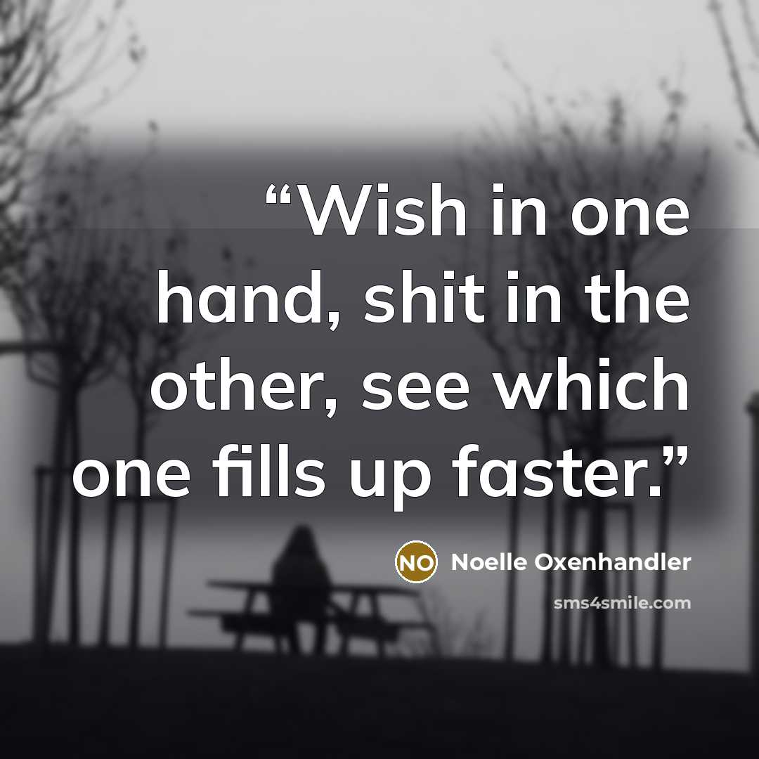 “Wish in one hand, shit in the other, see which one fills up faster.” quote by Noelle Oxenhandler