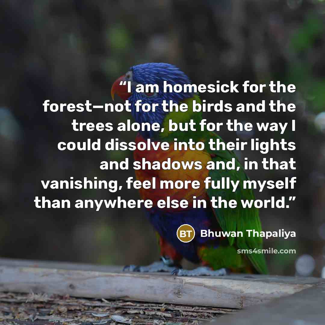 “I am homesick for the forest—not for the birds and the trees alone, but for the way I could dissolve into their lights and shadows and, in that vanishing, feel more fully myself than anywhere else in the world.” quote by Bhuwan Thapaliya