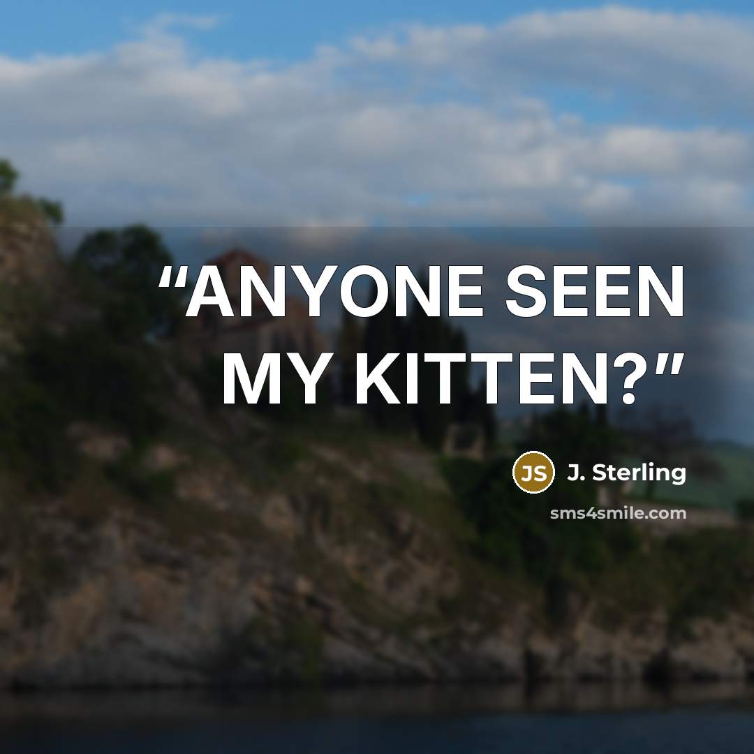 “ANYONE SEEN MY KITTEN?” quote by J. Sterling