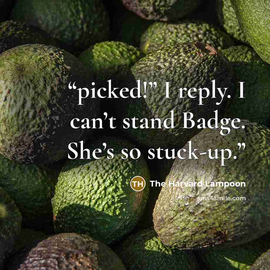 “picked!” I reply. I can’t stand Badge. She’s so stuck-up.” quote by The Harvard Lampoon